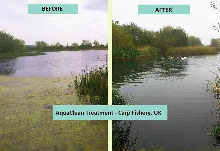 Ultrasonic Algae Control Before and After - monk lakes