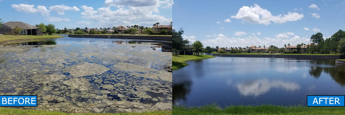 How do I treat algae in ponds or lakes?